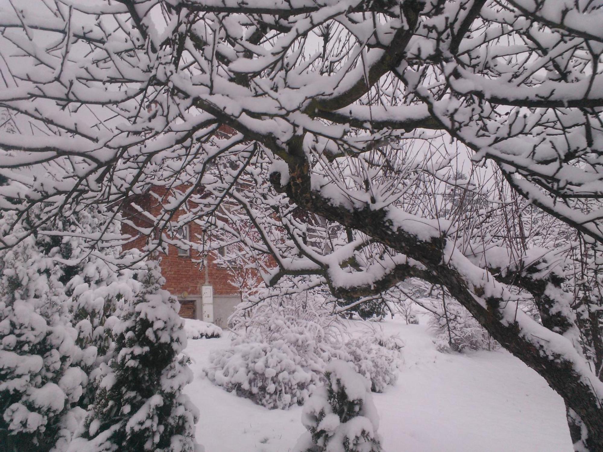 A Summer House Zarabie Domek Letniskowy Zarabie Villa Myślenice Dış mekan fotoğraf